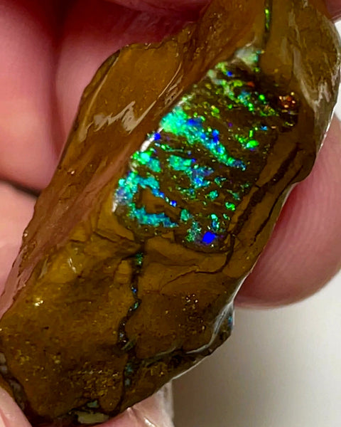 Queensland Boulder Matrix opal 43cts rub / rough Winton Exotic Bright & Gorgeous Multifires 30x17x12mm WAD55