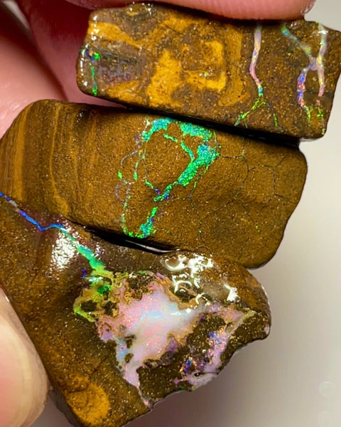 Bling Bling Boulder opal 126cts rough Nice Sized Exotic Gem Winton Bright & Gorgeous Reds &  Multifires 25x17x11mm 22x11x9mm NSA011