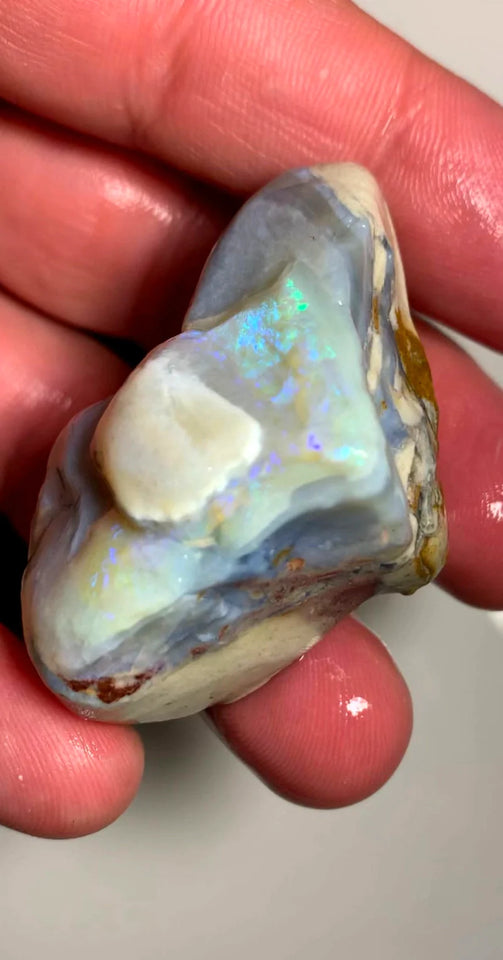 Opal Fever Mate Auction