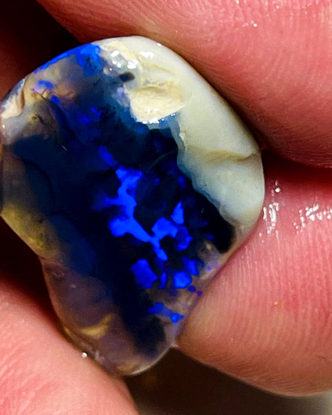 Lightning Ridge Rough / Rub Blue on Black Crystal Knobby opal Miners Bench® 14.5cts Gorgeous Bright Blues 22x16x7mm WAC48