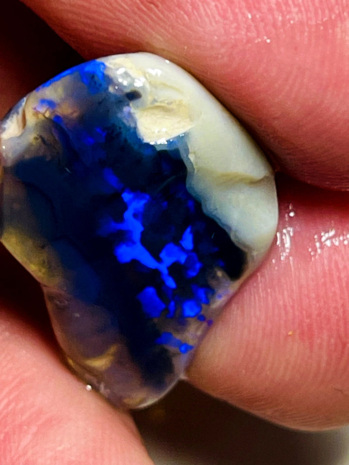 Lightning Ridge Rough / Rub Blue on Black Crystal Knobby opal Miners Bench® 14.5cts Gorgeous Bright Blues 22x16x7mm WAC48