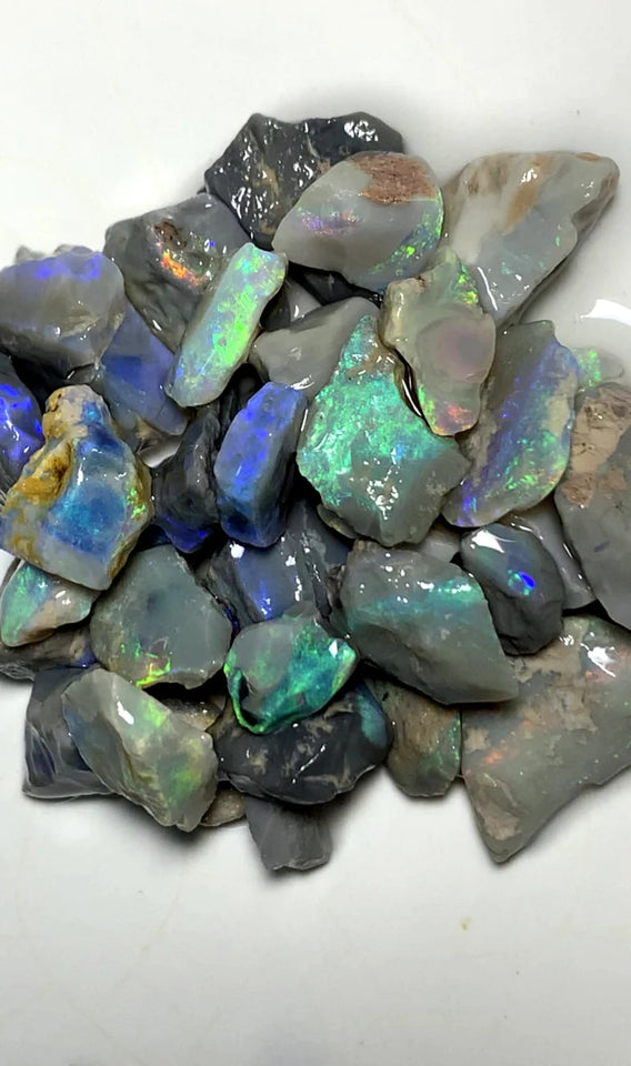 Opal Fever Mate Auction