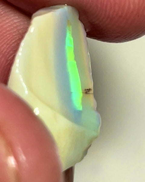 Lightning Ridge Rough Opal 9.5cts Cutters Stunning Light Base High Grade Vivid Bright Multifires  20.000 x 14.000 x 5.000 mm WAE48