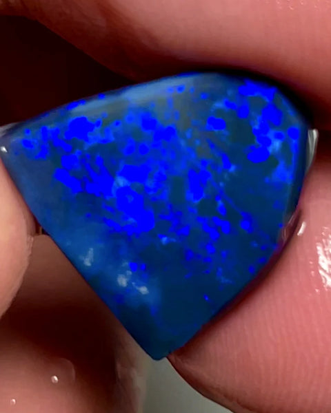 NEW YEARS DAY THNK U AUCTION1 Big Sized Blue on Black Opal Rub Rough 10cts L/Ridge Full of gorgeous fires 17x12x3mm SKU#0270