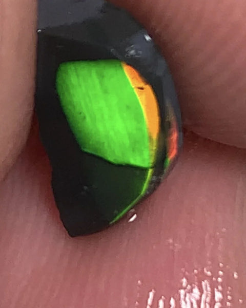 Lightning Ridge Rough / Rub Black Seam opal Miners Bench®  Baby Harlequin 1.45cts Exotic Super Bright Vibrant & Vivid Multifires 12x6x2mm WSY92