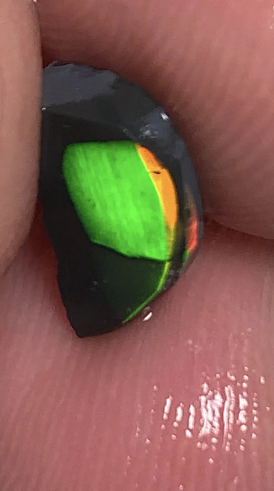 Lightning Ridge Rough / Rub Black Seam opal Miners Bench®  Baby Harlequin 1.45cts Exotic Super Bright Vibrant & Vivid Multifires 12x6x2mm WSY92