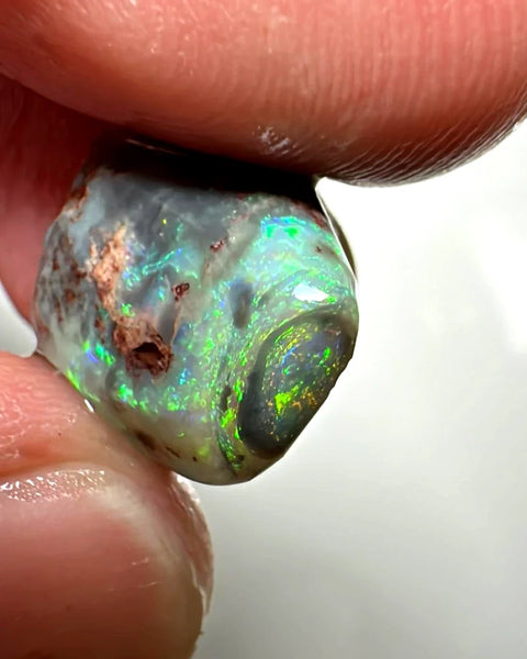 Lightning Ridge Rough / Rub Dark base Crystal opal Miners Bench® 8.75cts Gorgeous Bright Multifires 13x12x8mm WAC54