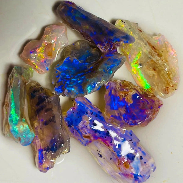 Coocoran field Opal Rough nice Opalised Wood Fossil parcel 27cts Bright & gorgeous multi colours 20x8x4mm to 10x5x2mm NSW010