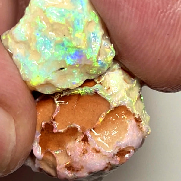 Lightning Ridge 18cts Nice pair of Dark base Crystal Opal formations rough to cut/carve or Collect Gorgeous Bright Multicolours  18x15x8mm & 14x11x4mm 1004