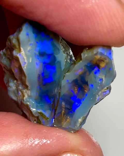 Lightning Ridge Rough Opal 31cts Stunning Dark Crystal Knobby Split with Nice bars with Vibrant Blues  26x20x13 & 20x8x7mm WAE57