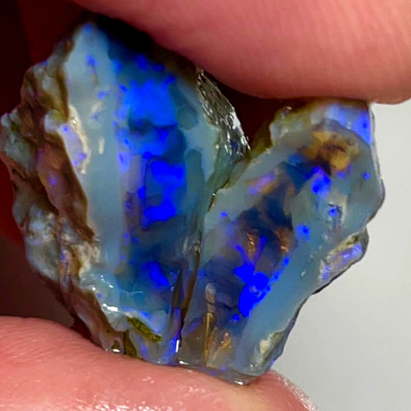 Lightning Ridge Rough Opal 31cts Stunning Dark Crystal Knobby Split with Nice bars with Vibrant Blues  26x20x13 & 20x8x7mm WAE57