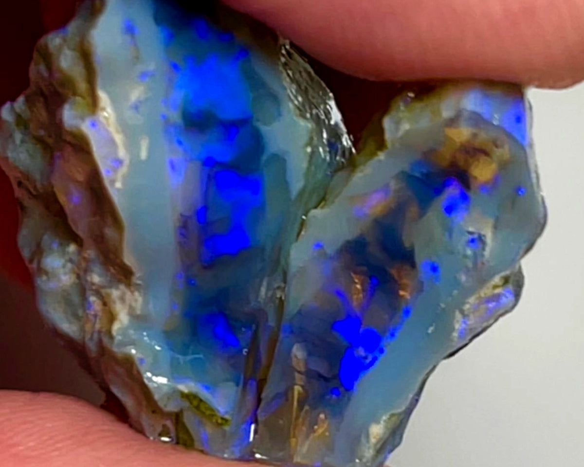 Lightning Ridge Rough Opal 31cts Stunning Dark Crystal Knobby Split with Nice bars with Vibrant Blues  26x20x13 & 20x8x7mm WAE57