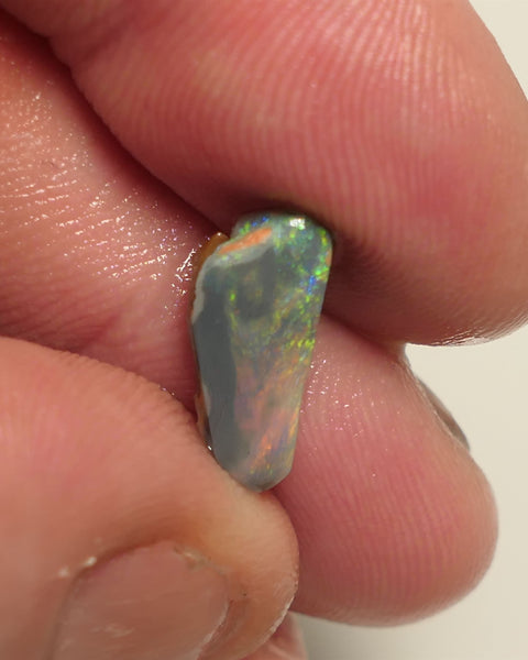 Lightning Ridge Opal Miners Bench®  Dark Base Seam Rough Rub 2.3cts Reds & Multifires to face 15x5x3mm 5APR