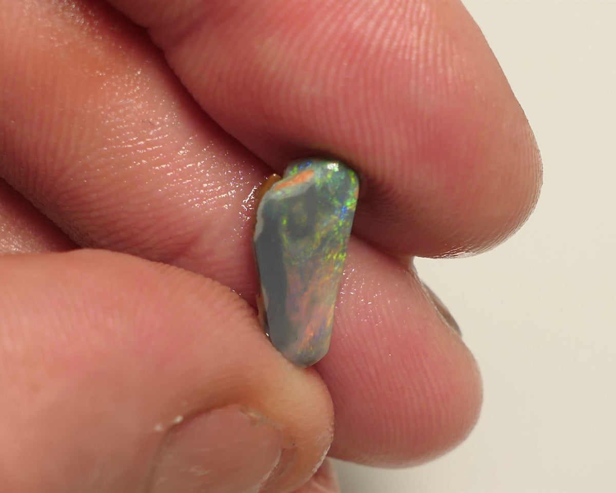 Lightning Ridge Opal Miners Bench®  Dark Base Seam Rough Rub 2.3cts Reds & Multifires to face 15x5x3mm 5APR