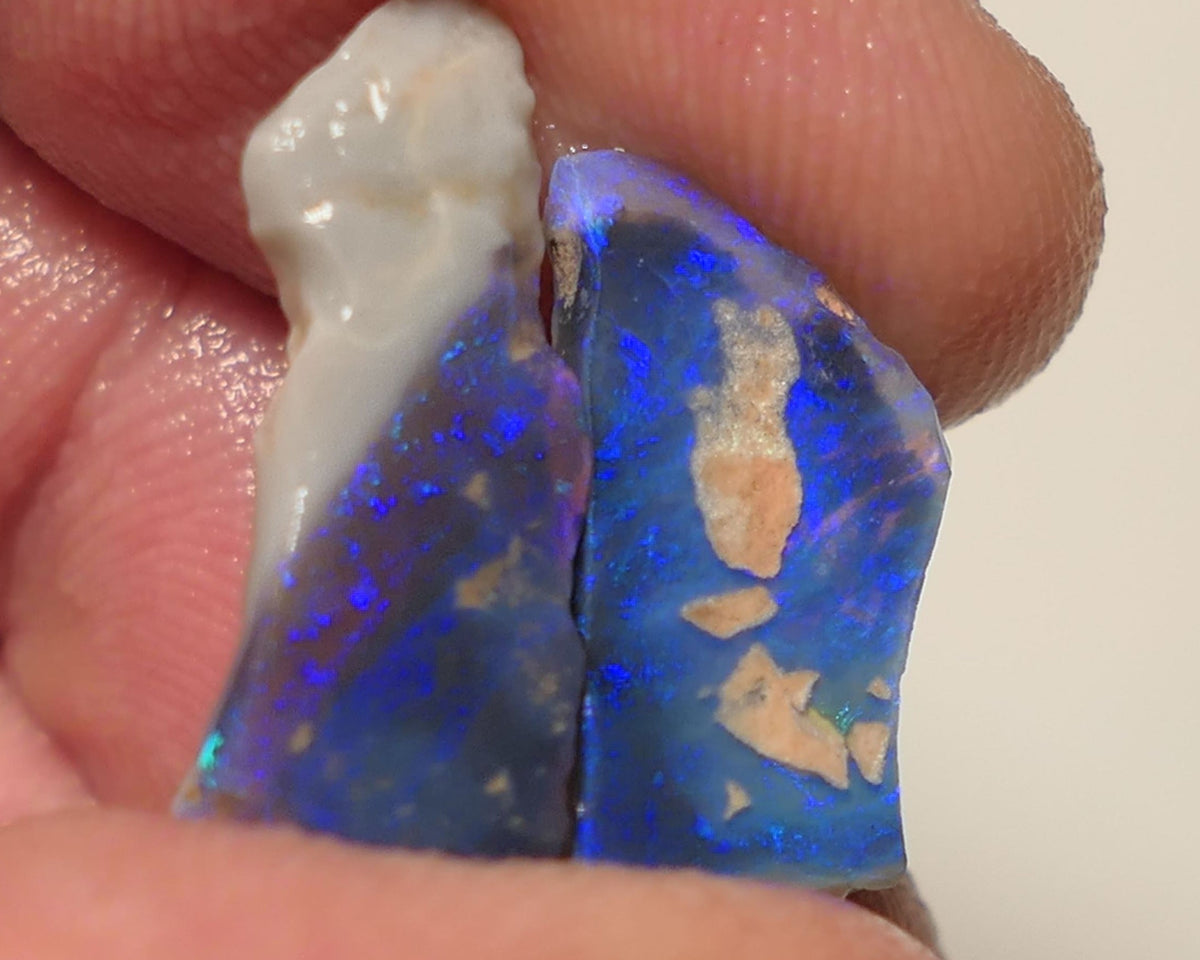 Opal Fever Mate Auction