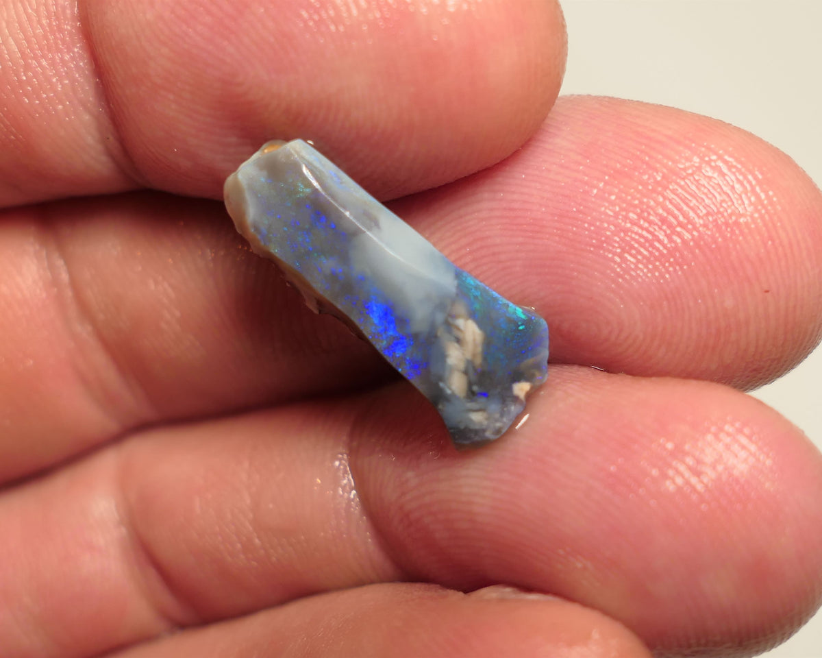 Lightning Ridge Rough / Rub Blue on Dark Seam opal Miners Bench® 5cts some Blue Fires Sand inclusions 22x7x4mm 19APR