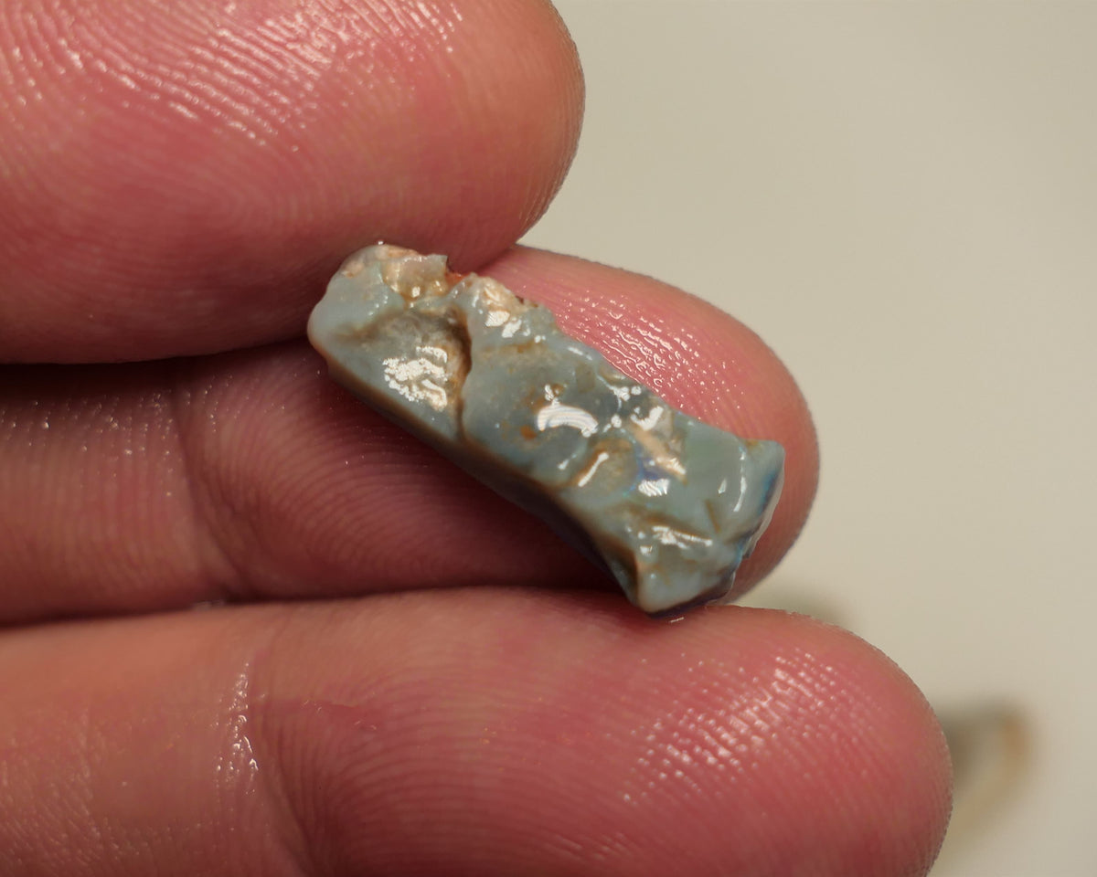 Lightning Ridge Rough / Rub Blue on Dark Seam opal Miners Bench® 5cts some Blue Fires Sand inclusions 22x7x4mm 19APR