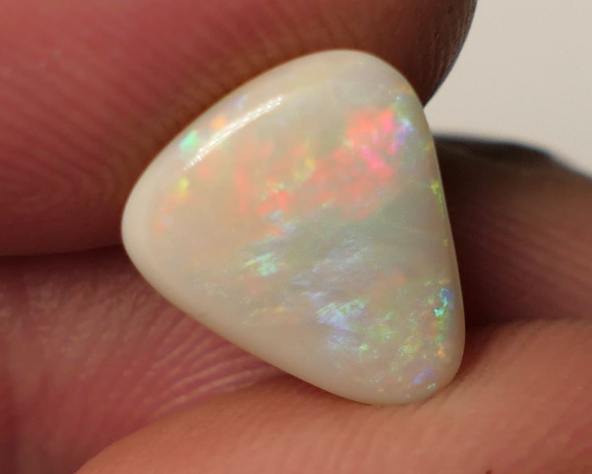 Opal Fever Mate Auction