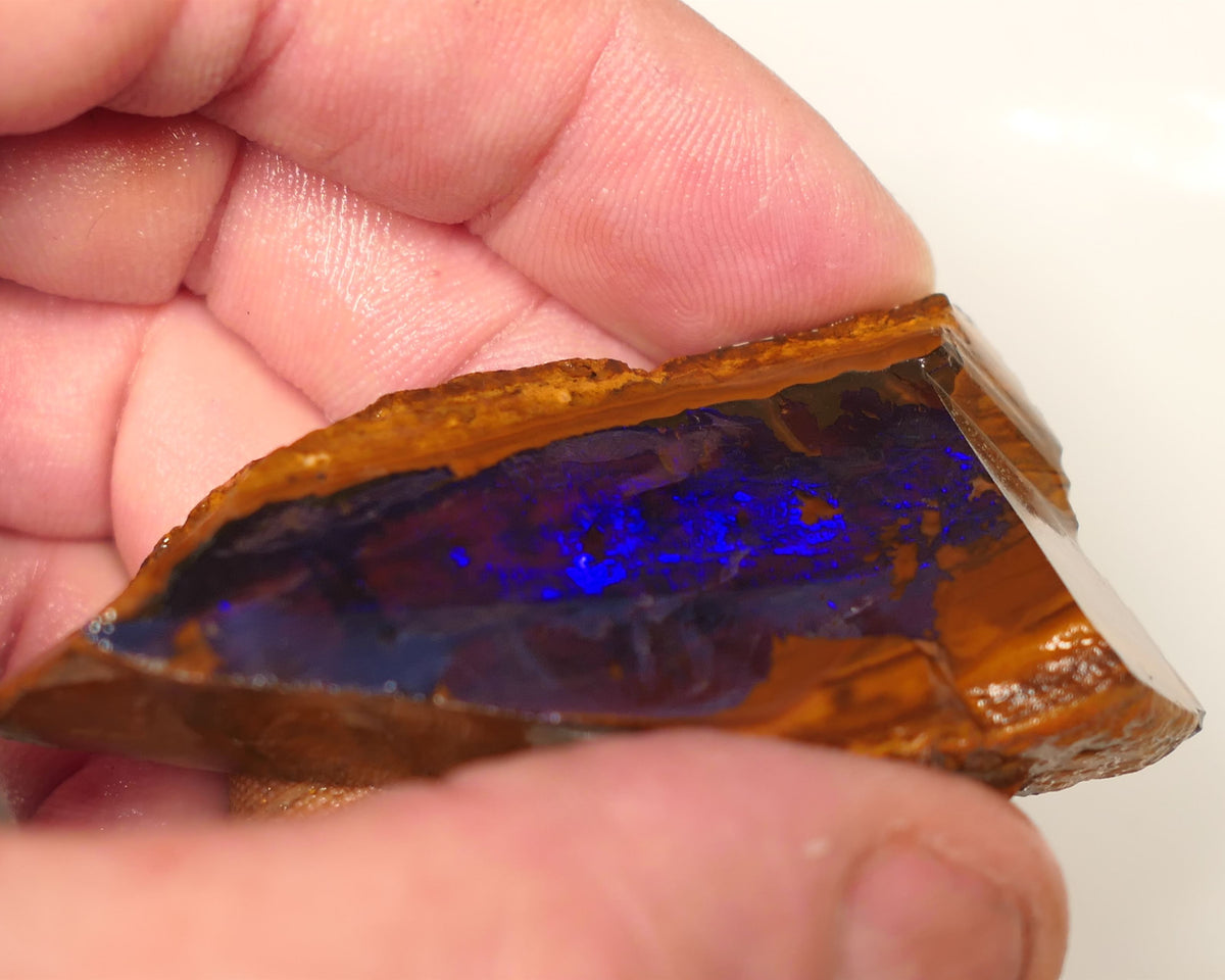 Queensland Boulder Matrix opal 195cts rough / Rub Winton Bright Gem Blue fires 70x30x15mm 0418