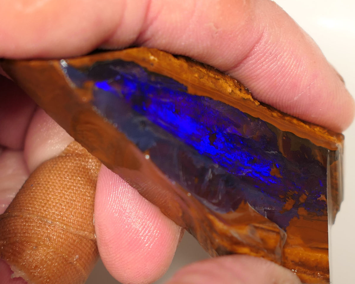 Queensland Boulder Matrix opal 195cts rough / Rub Winton Bright Gem Blue fires 70x30x15mm 0418