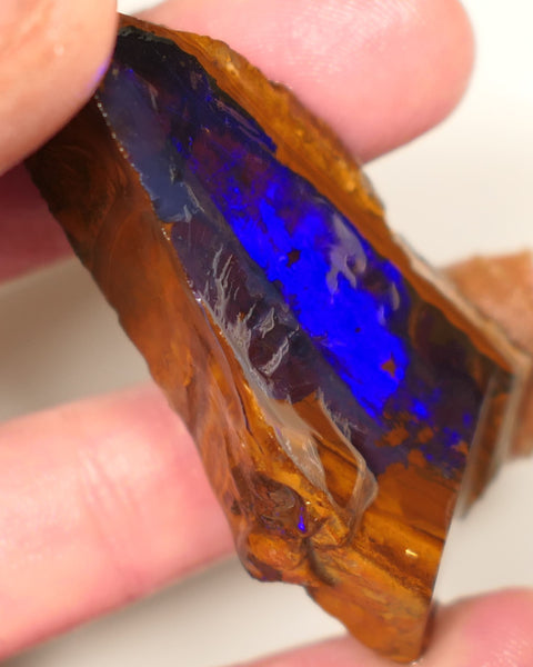 Queensland Boulder Matrix opal 195cts rough / Rub Winton Bright Gem Blue fires 70x30x15mm 0418