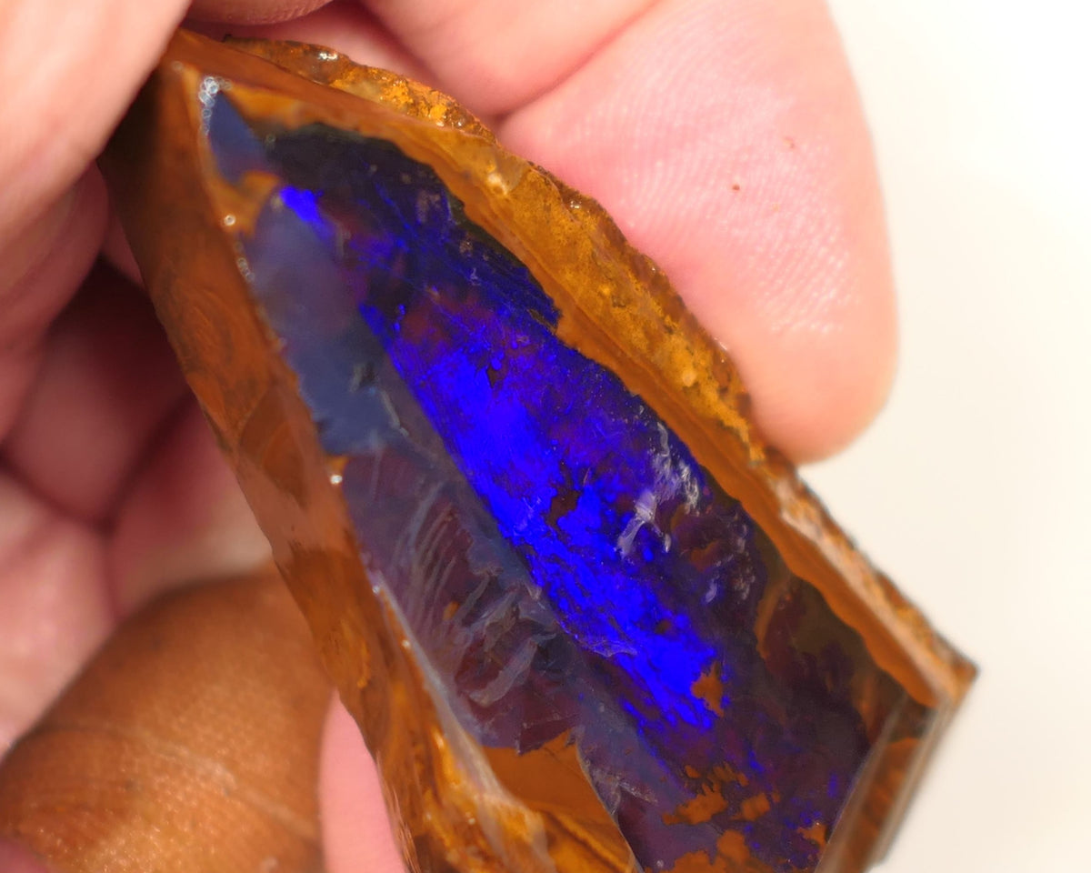 Queensland Boulder Matrix opal 195cts rough / Rub Winton Bright Gem Blue fires 70x30x15mm 0418