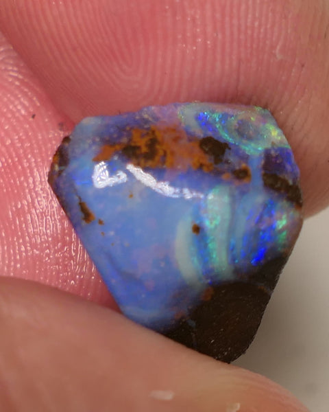 Queensland Boulder Matrix opal 12cts rough / Rub Winton Bright Multifires 15x12x7mm 0423