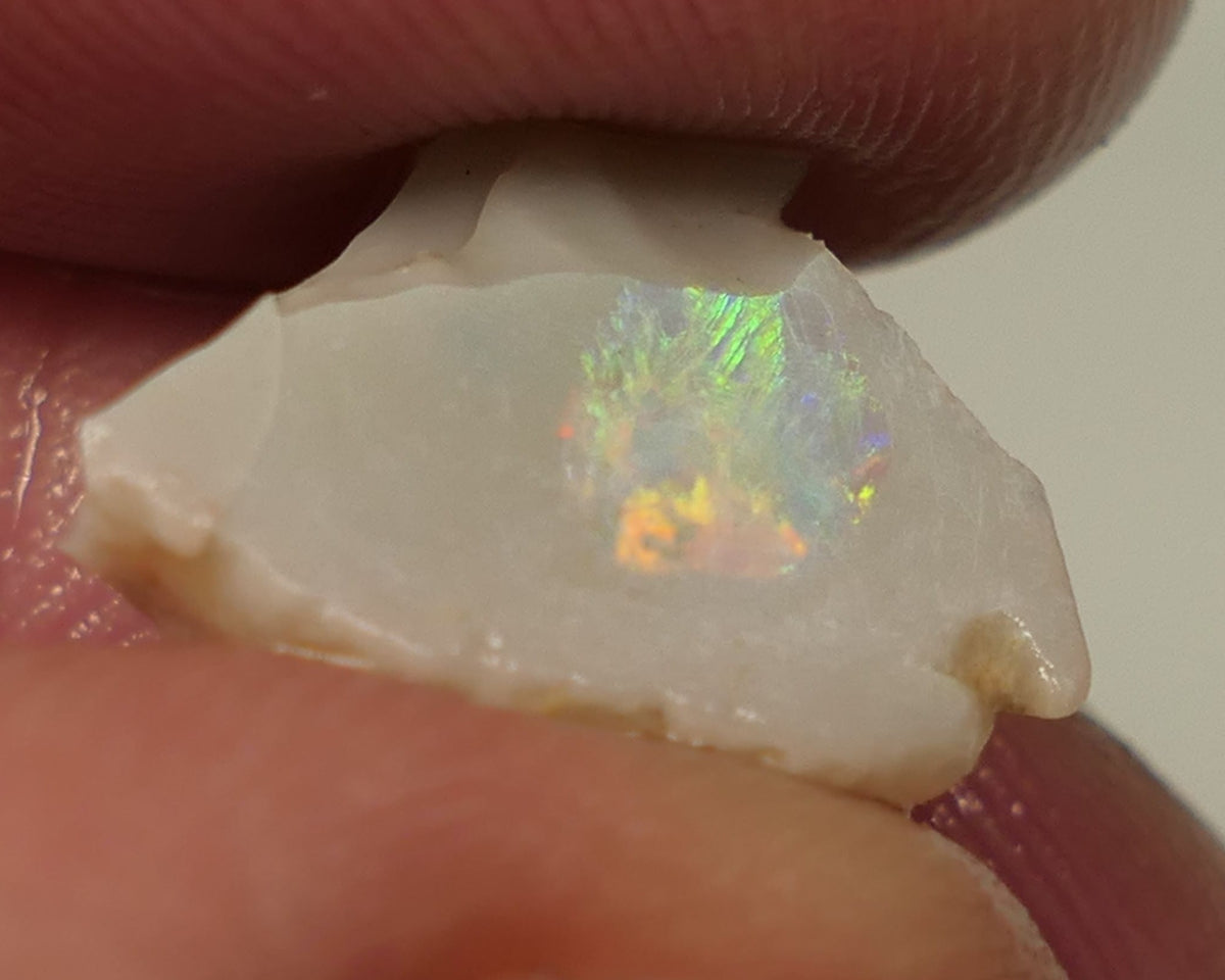 Lightning Ridge Opal Miners Bench® Dark Base Seam Rough Rub 6.3cts Nice Multifires to face 15x13x6mm0432