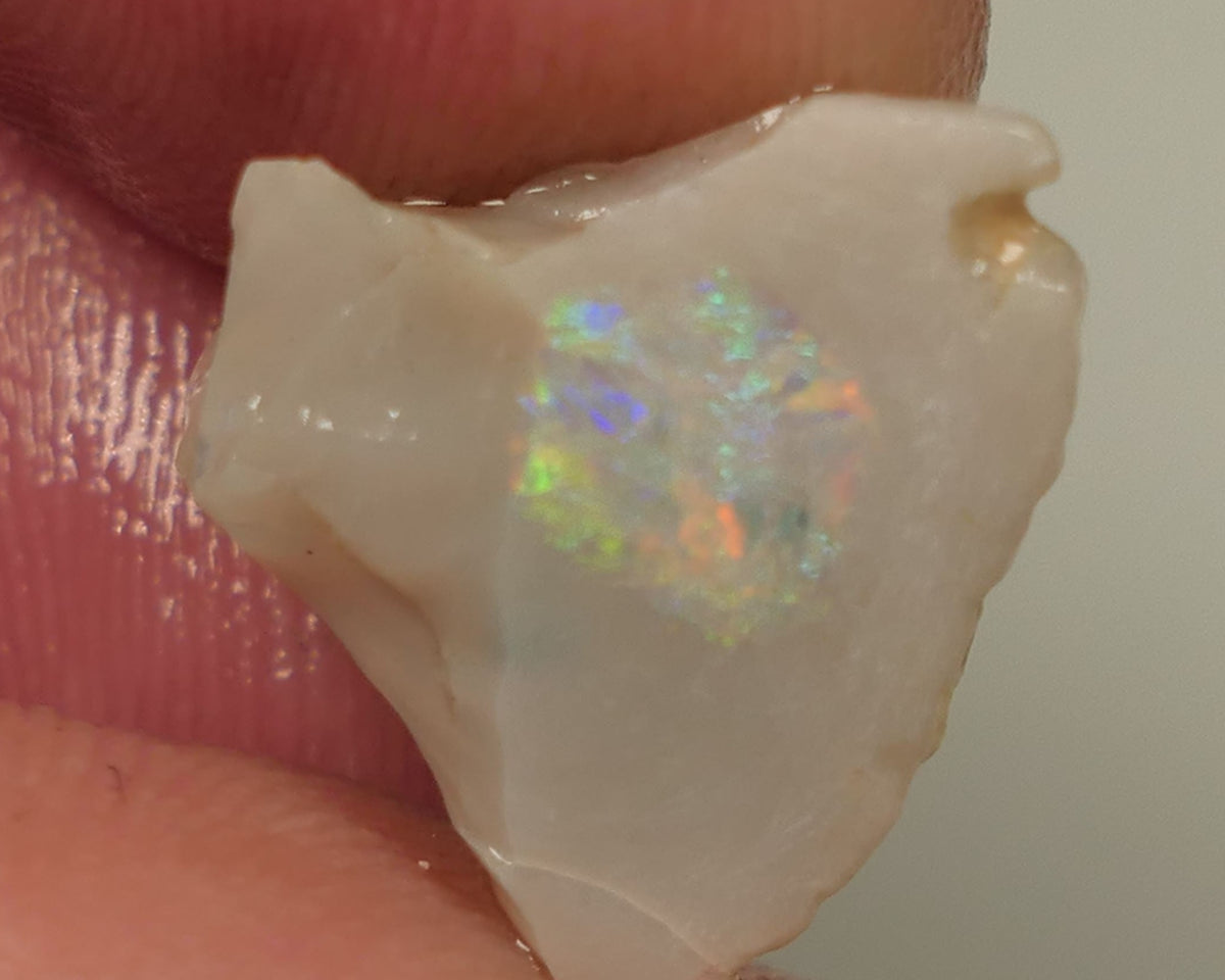 Lightning Ridge Opal Miners Bench® Dark Base Seam Rough Rub 6.3cts Nice Multifires to face 15x13x6mm0432