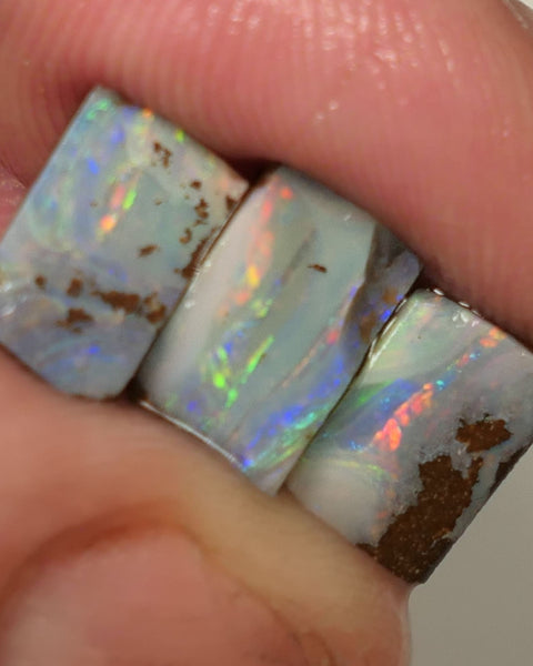 Queensland Boulder opal 6.6cts rough / Rub / preforms Winton Bright Gem Reds & Multifires 10x6x3mm to 9x6x2.5mm WAC71