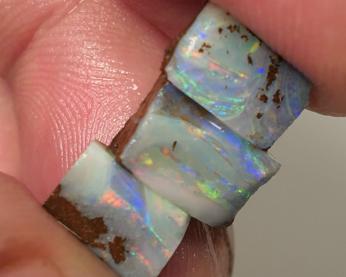 Queensland Boulder opal 6.6cts rough / Rub / preforms Winton Bright Gem Reds & Multifires 10x6x3mm to 9x6x2.5mm WAC71