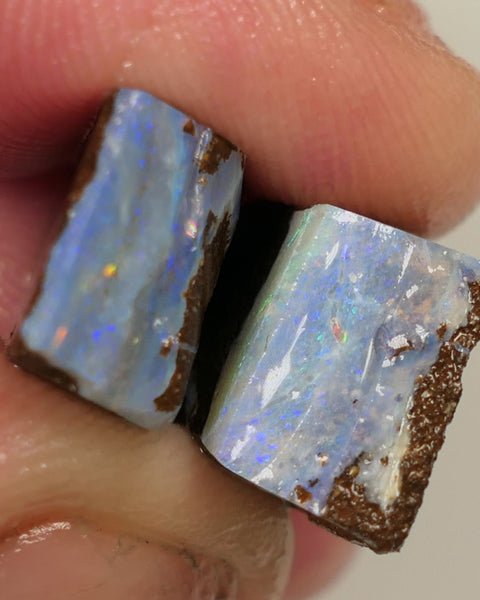 Queensland Boulder opal 22cts rough / slice / rubs Perfect for ring stones Koroit nice fires both approx 17x12x6mm 0440