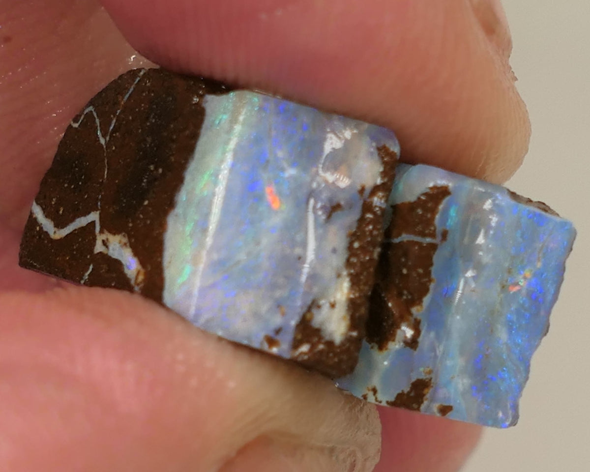 Queensland Boulder opal 22cts rough / slice / rubs Perfect for ring stones Koroit nice fires both approx 17x12x6mm 0440