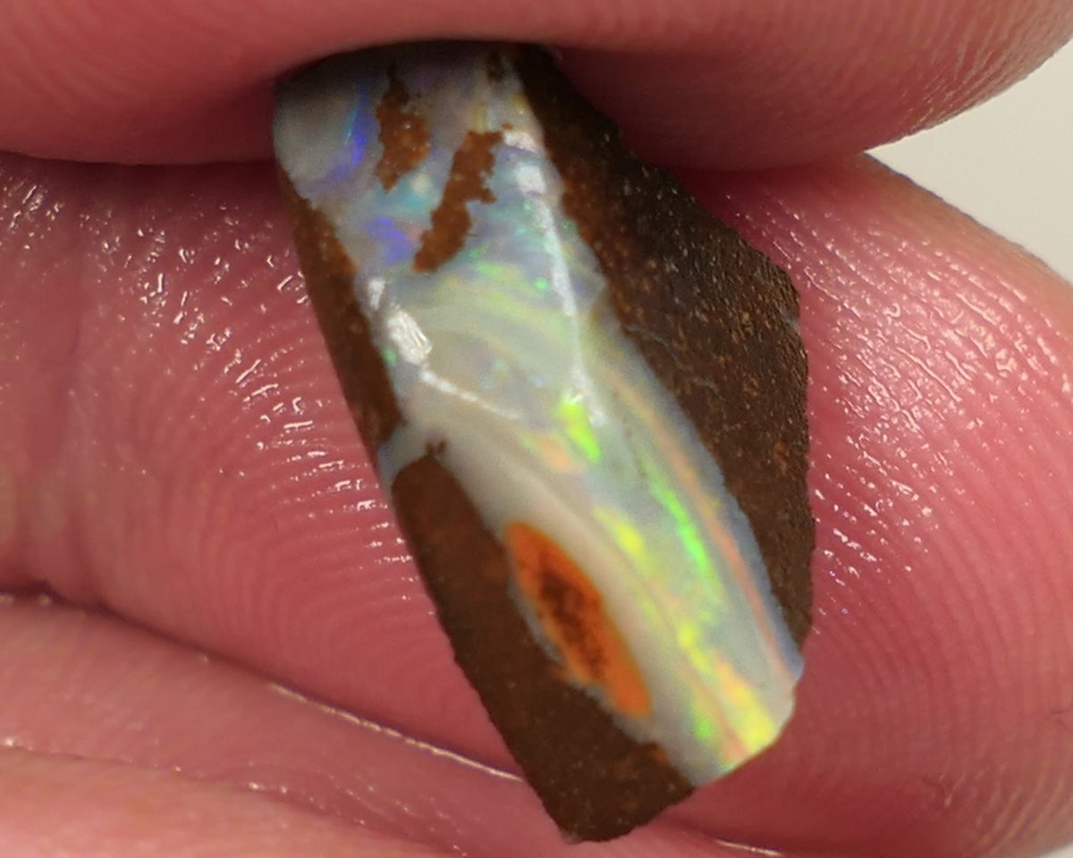 Queensland Boulder opal 7.5cts rough Gorgeous Winton Material Gorgeous Yellow dominant fires with flashes of oranges & blues 16x11x5mm 0439