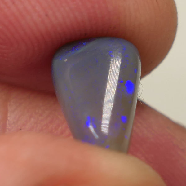 Lightning Ridge Dark Crystal opal Gemstone 3.3cts Polished ready for setting Some Nice Blue colours 12x8x5mm SKU#0444