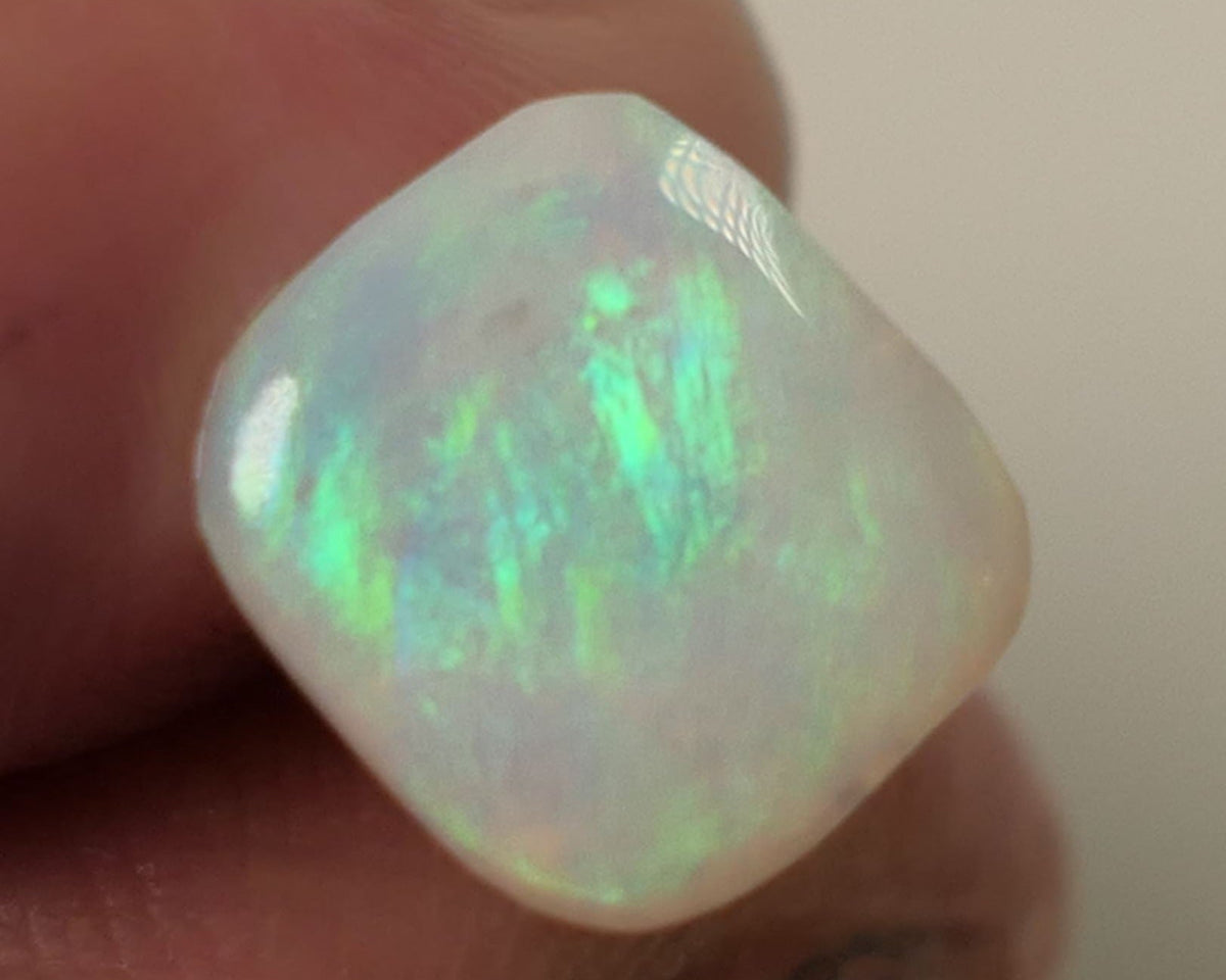 Opal Fever Mate Auction