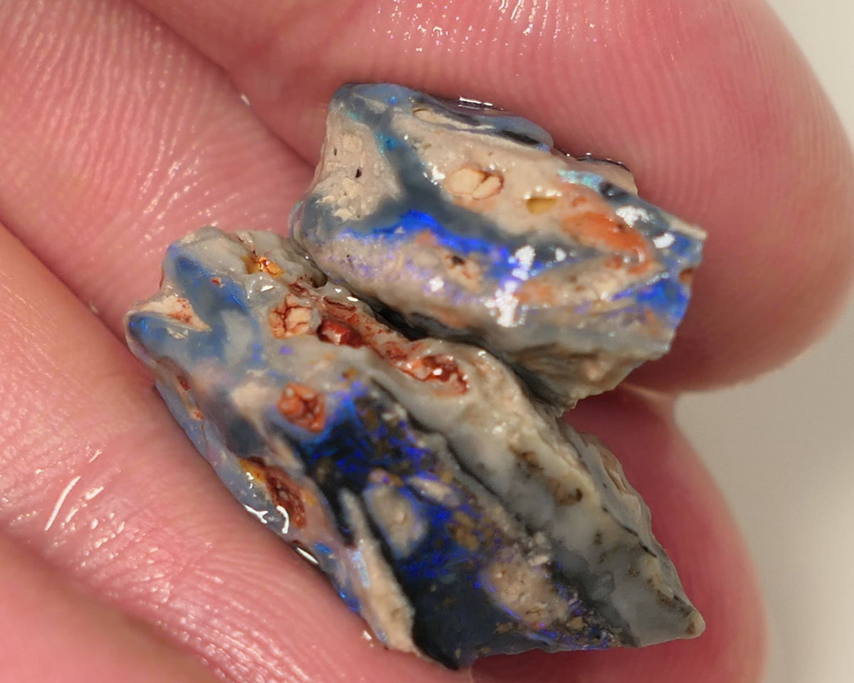 Lightning Ridge Rough Opal 24cts Gamble Black Base Knobby Split Showing Blue bars both 20x10x8mm 0504