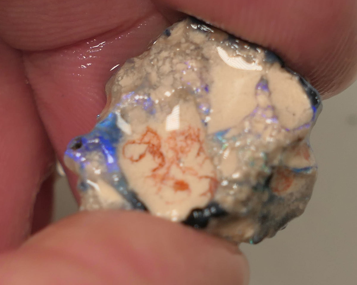 Lightning Ridge Rough Opal Single 14.5cts Gamble Dark Crystal Base Knobby Showing Blue bars 18x18x8mm 0507