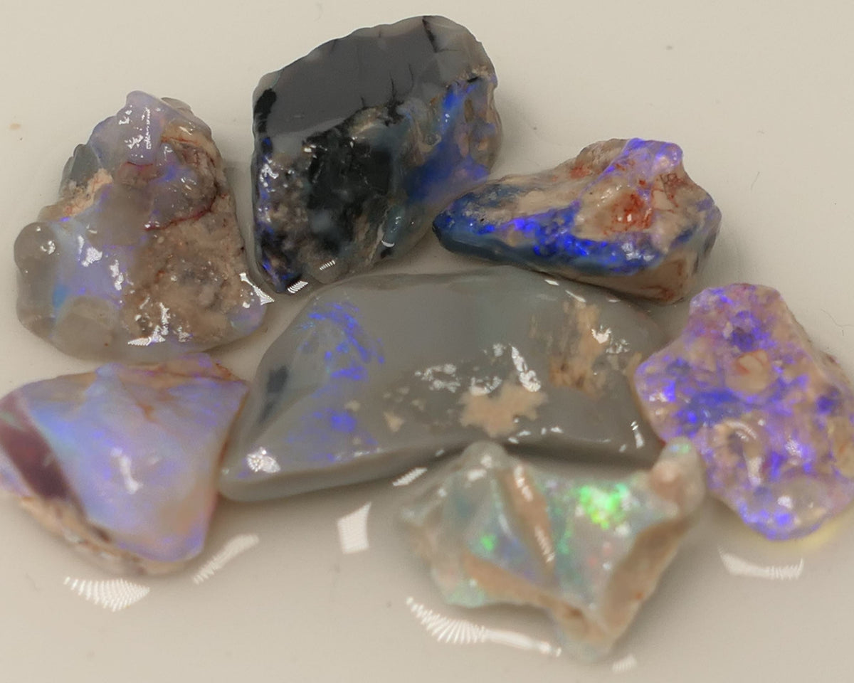 Lightning Ridge Rough Opal 36cts Gamble Dark Base Knobby,  Fossil &n Seam Showing Mostly Blue Colours 22x10x5mm & 10x8x3mm 0516