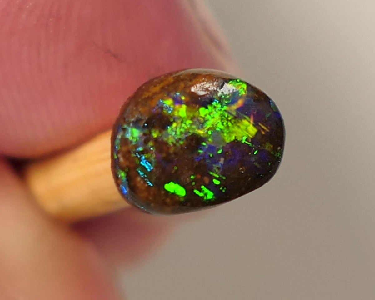 Opal Fever Mate Auction