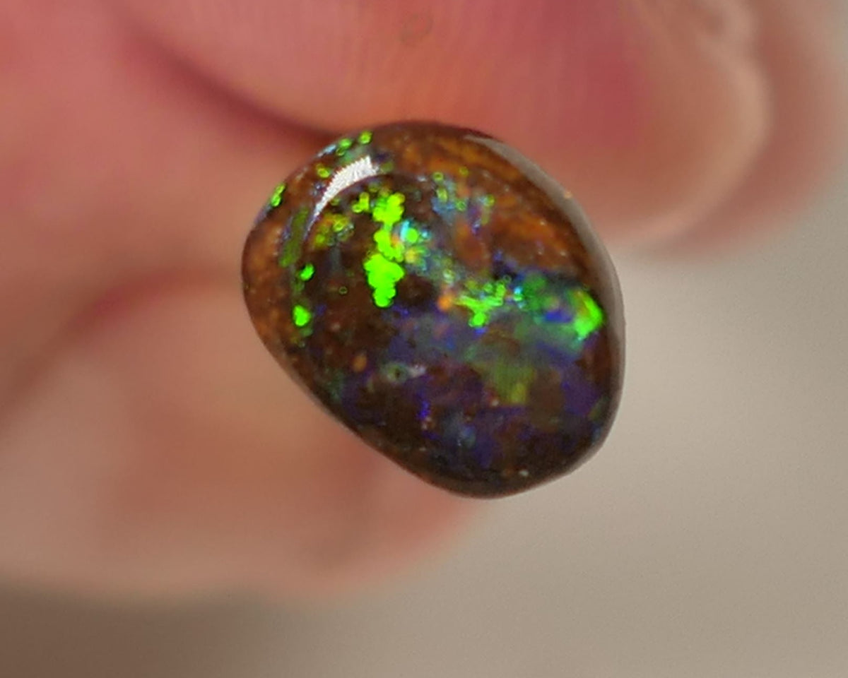 Queensland Boulder GEM Boulder opal 1.3cts rough / Rub / Preform Winton Amazing Super Bright Electric Vibrant & Vivid Multifires 10x6x2mm 0523