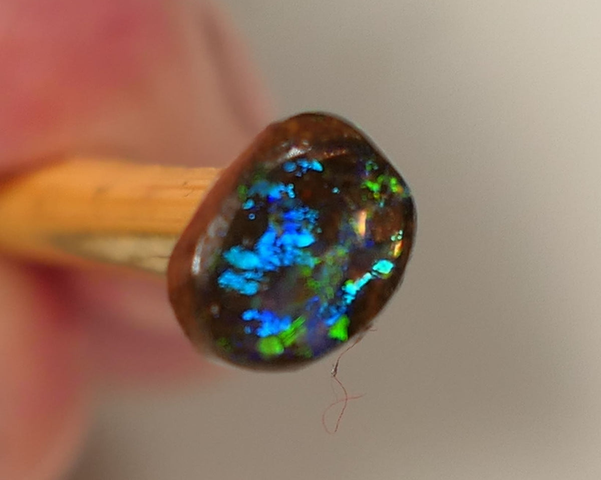 Queensland Boulder GEM Boulder opal 1.3cts rough / Rub / Preform Winton Amazing Super Bright Electric Vibrant & Vivid Multifires 10x6x2mm 0523