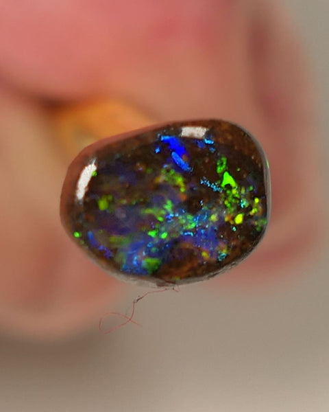 Queensland Boulder GEM Boulder opal 1.3cts rough / Rub / Preform Winton Amazing Super Bright Electric Vibrant & Vivid Multifires 10x6x2mm 0523