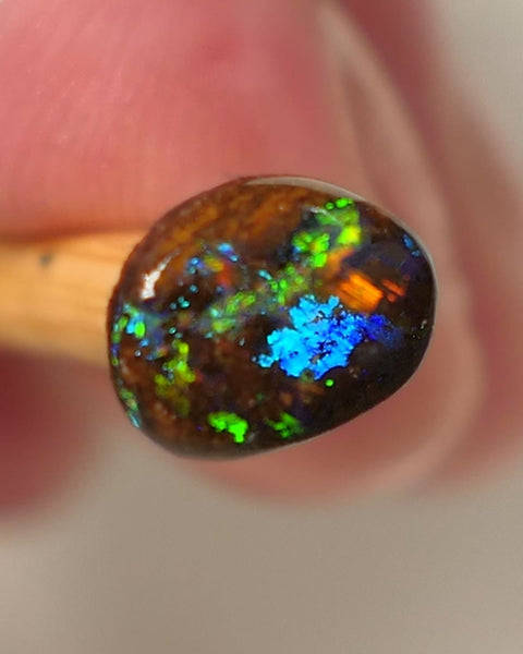 Queensland Boulder GEM Boulder opal 1.3cts rough / Rub / Preform Winton Amazing Super Bright Electric Vibrant & Vivid Multifires 10x6x2mm 0523