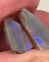 Lightning Ridge Rough Opal 12cts Dark Base Knobby Split Bright Blue fires in the bars 20x14x5mm to 13x8x5mm 0520