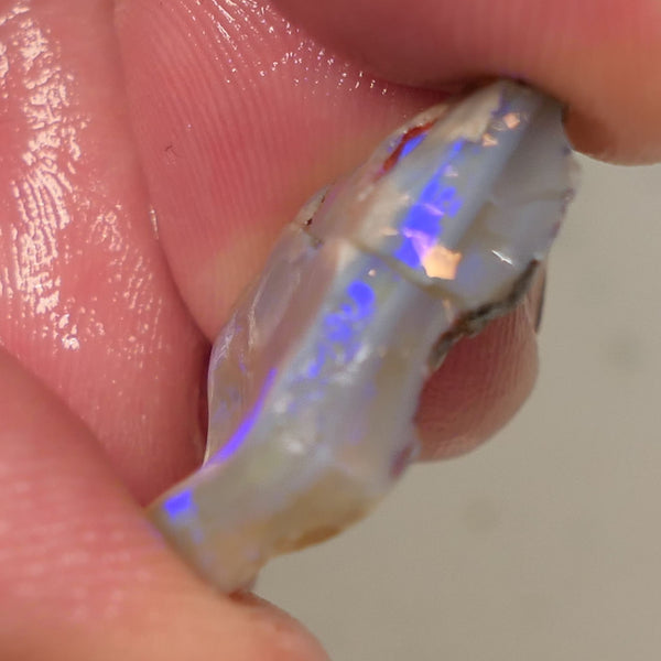 Lightning Ridge Rough Opal 12cts Dark Base Knobby Split Bright Blue fires in the bars 20x14x5mm to 13x8x5mm 0520