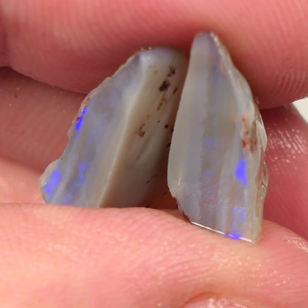 Lightning Ridge Rough Opal 12cts Dark Base Knobby Split Bright Blue fires in the bars 20x14x5mm to 13x8x5mm 0520