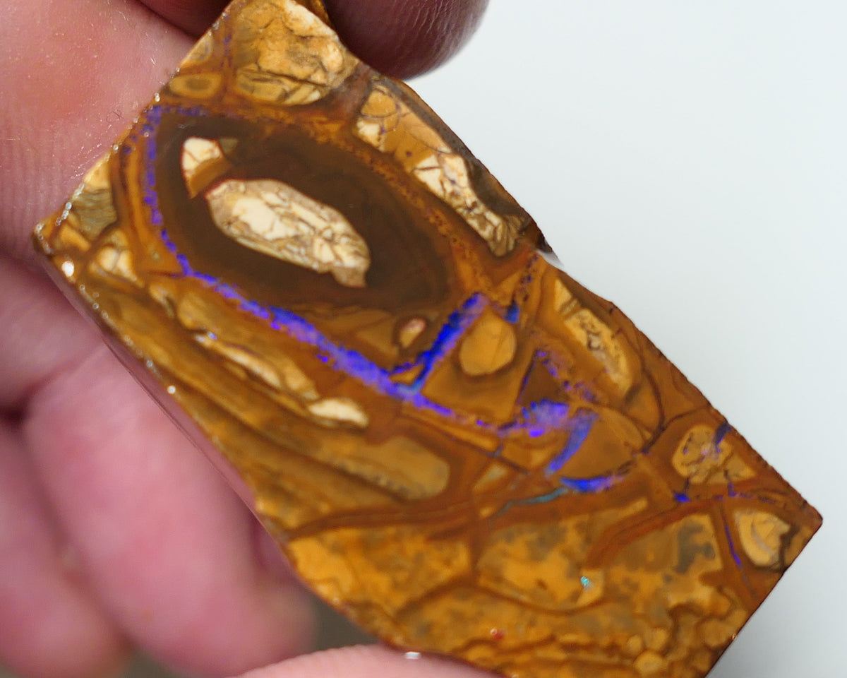 Queensland Boulder Matrix opal 74cts rough / slice Koroit Blues fires in the veins 40x20x8mm 0529