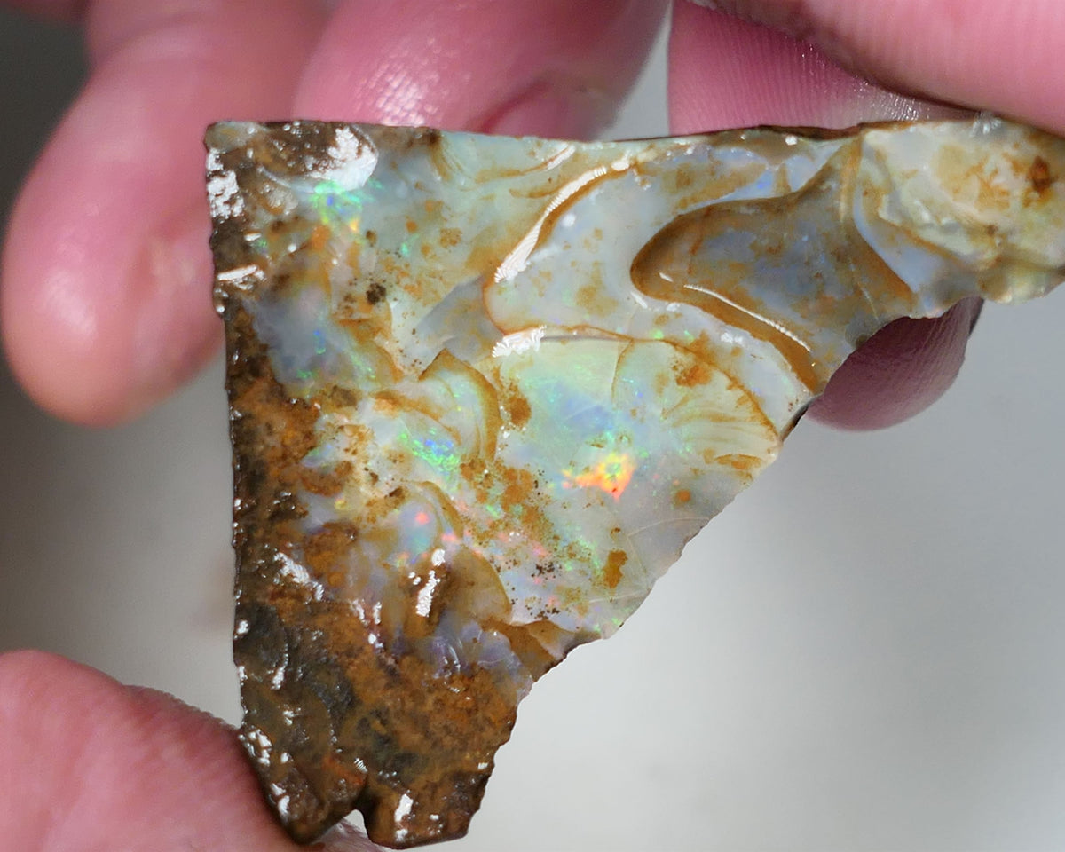 Opal Fever Mate Auction