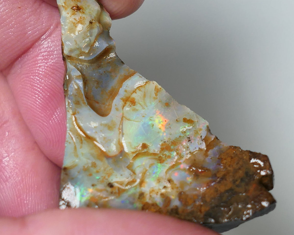 Queensland Boulder Matrix opal cts rough Koroit Multifires showing on the face 38x30x14mm 0530